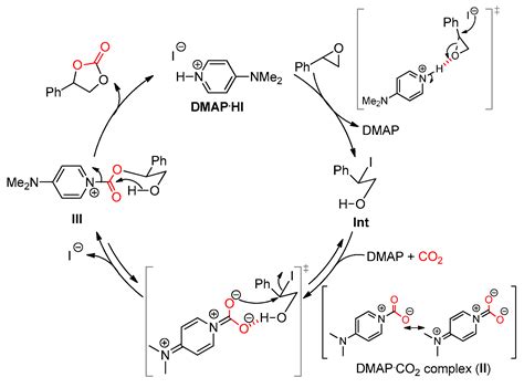 A Green and Sustainable Organic Catalyst Based on ...