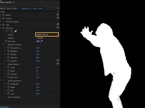 Master background removal in Premiere Pro! This 2026 guide shows you ...