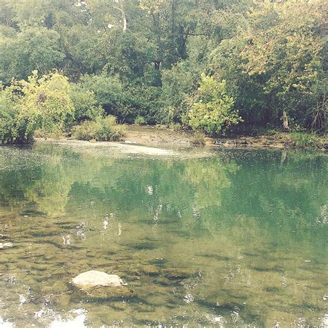 Blue River Campground | The Dyrt