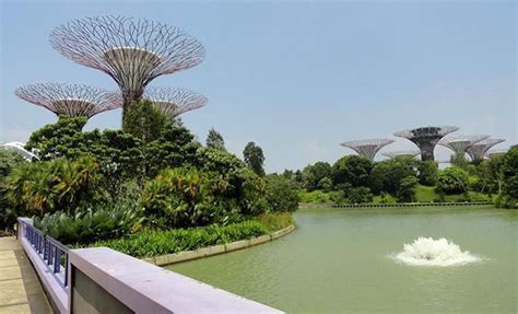 Local Sustainable Development 的图像结果