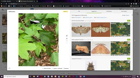 Image result for Computer Vision Model