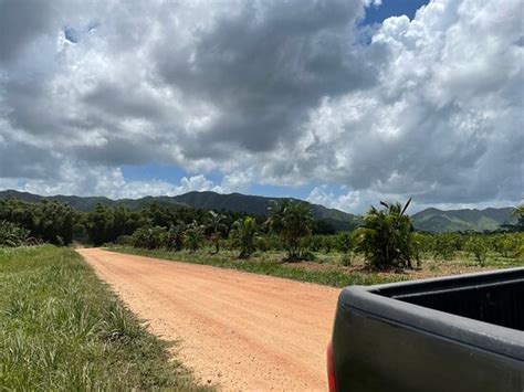 MAYAN SKY CANOPY TOUR (Kendal) - What to Know Before You Go