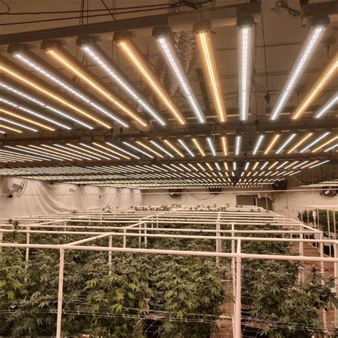 The Advantages of Commercial Grade LED Grow Lights