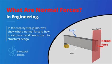 Image result for Internal Forces Examples