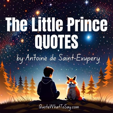 63 The Little Prince Quotes about Love, Rose, Life, Friendship.