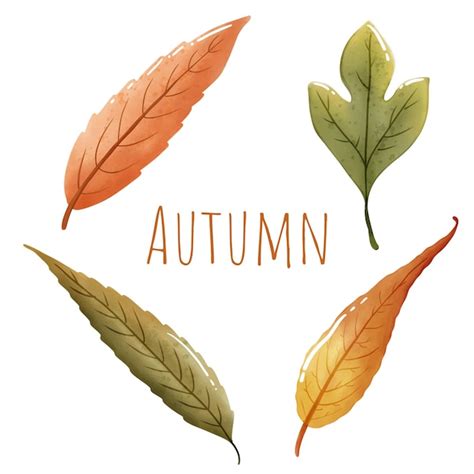 Image result for Fall Vector