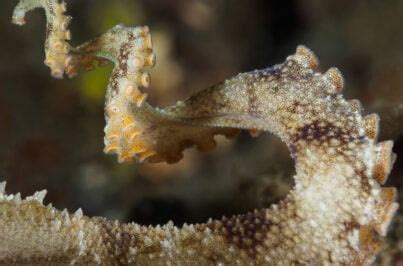 Free Science Lessons Ecosystem 的图像结果