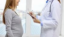 Fertility solutions patient portal