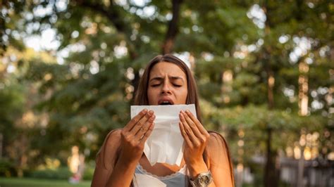 Canada's 2 Billion Trees Program: Combating Climate Change and Navigating Tree Pollen Allergies ...