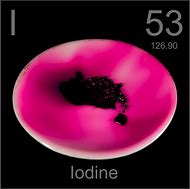 iodine 的图像结果