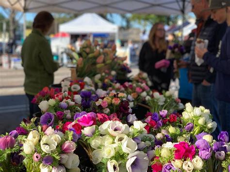 Chico Art at the Market Mini Photos & Prints on Canvas - Chico Downtown ...