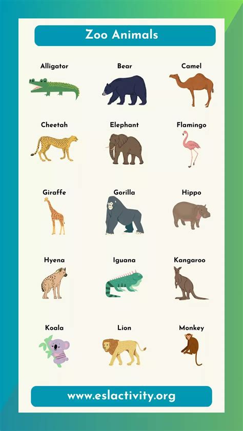 List of zoo animals – Artofit