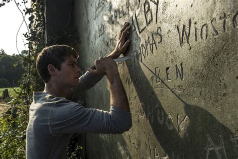 Film Review - The Maze Runner | The MacGuffin