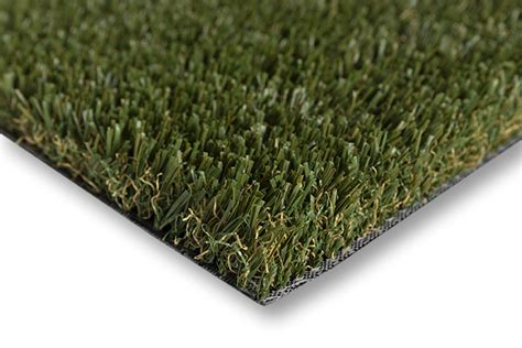 Image result for Basic Training Turf