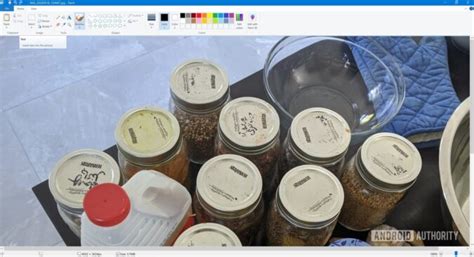 Image result for Add Text to Pictures On Computer