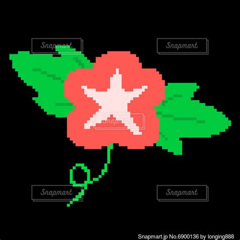 Image result for Automatic Image Colorization