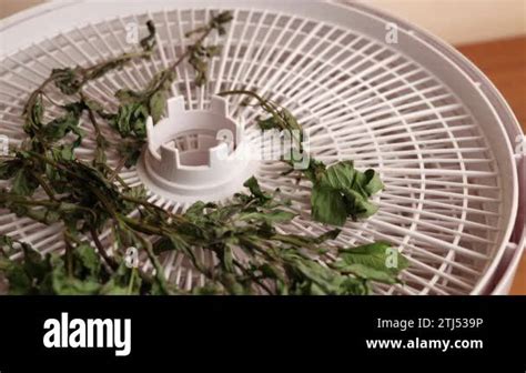 Image result for Complete Drying