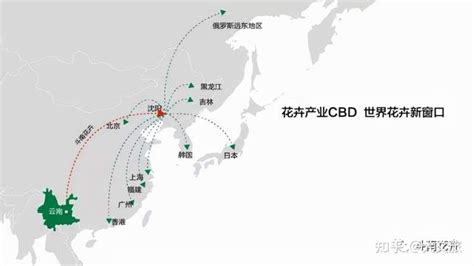 九十年代初沈阳老照片（3）——沈阳大西农贸市场