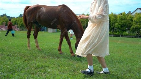 青年女性马棚喂马高清图片下载-正版图片501416703-摄图网