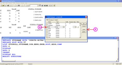 Visual Fox Database 的图像结果