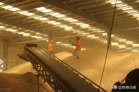 农发行蚌埠市分行20亿信贷资金支持夏粮收购 | 一品百科