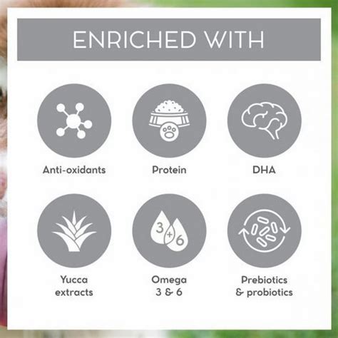 Buy Drools Vet Pro Puppy Dry Dog Food Prescribed Diet 3 Kg Online - MyPetz