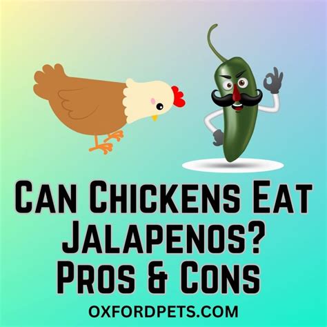 Can Chickens Eat Jalapenos? [10 Benefits and 5 Risks] - Oxford Pets