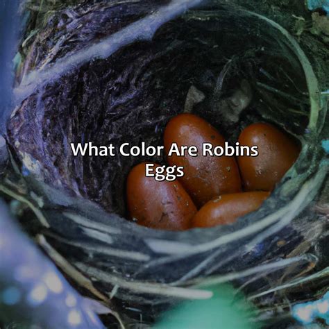 What Color Goes Well With Light Blue - colorscombo.com