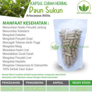 Jual DAUN SUKUN Kapsul Curah Herbal 600mg Jantung Liver Diabetes ...