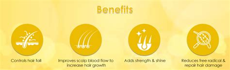 Buy Roots21 Fenugreek and Hibiscus Hair Oil - Promotes Healthier ...