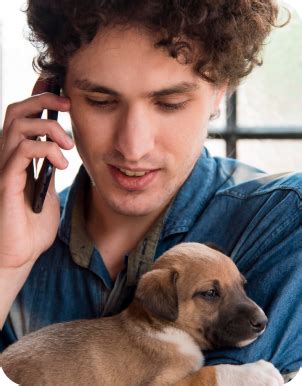 Simplifying Pet Parenting