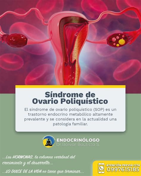 Dr.Bautista Endocrinólogo | 🟢 Existe una relación entre las hormonas tiroideas y el ciclo ...