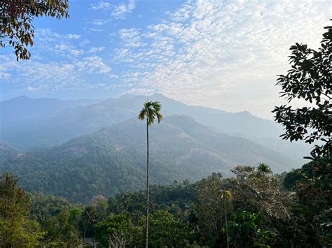 CLOUDS END RESORT - KAKKADAMPOYIL - Resort Reviews & Photos - Tripadvisor