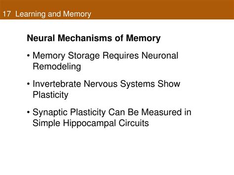 Image result for Learning Memory Storage