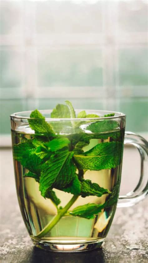 9 Drinks that Help Maintain Hormone Balance in Body Naturally