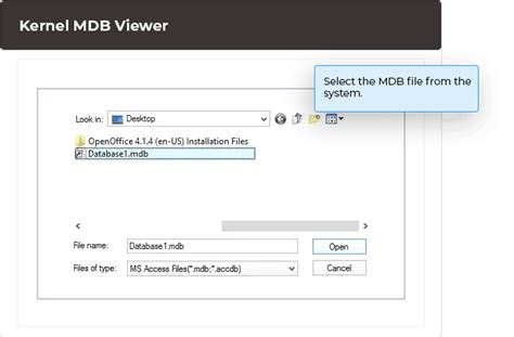 Image result for Visual Basic 10 MDB Update