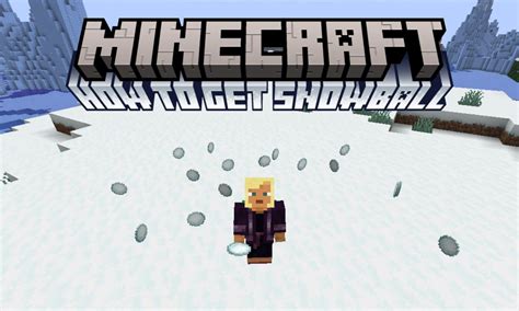 Image result for Java Miner Snowball