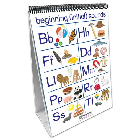 New Path Learning® Early Childhood ELA Readiness Flip Chart, Phonemic ...
