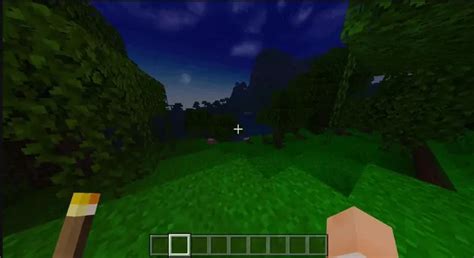 Image result for Offhand Torchlight Minecraft