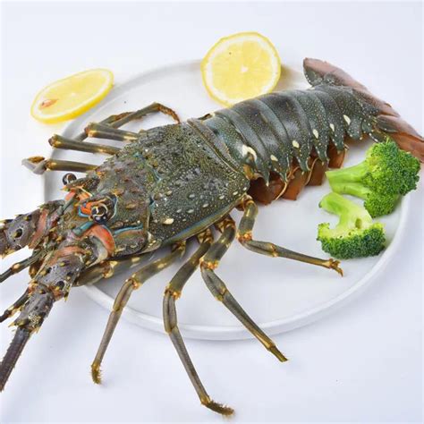 “小龙虾自由”来了！每斤10多元，每天约有10万斤小龙虾“爬”进青岛-青报网-青岛日报官网