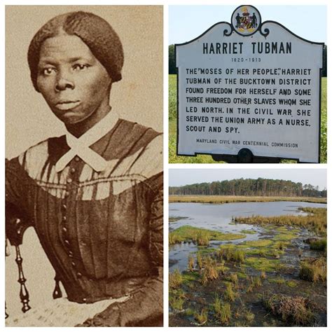 Harriet Tubman photo collage | FWS.gov