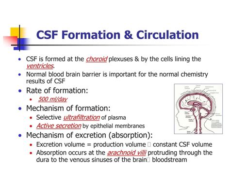 CSF Circulation Flow Chart 的图像结果