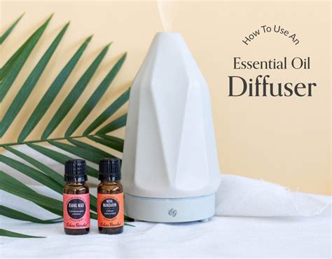 Image result for Essential Oils Guide Diffuser