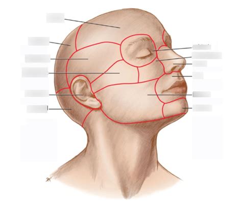 Image result for String ENT