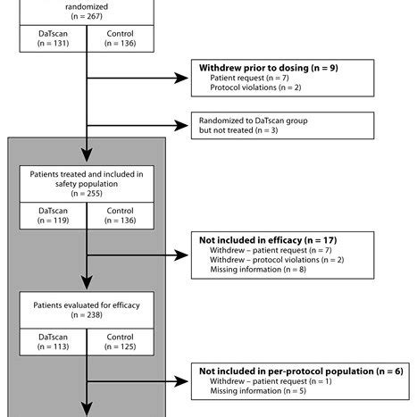 Image result for Normal DaTscan