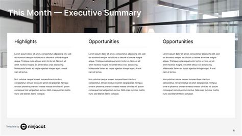 Executive Summary Report Example | Executive Report Template