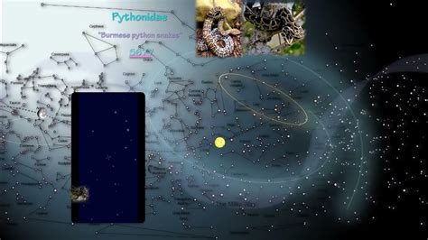 Pythonidae Chart 的图像结果