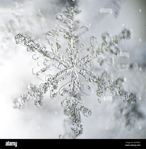 Snowflakes Under Microscope