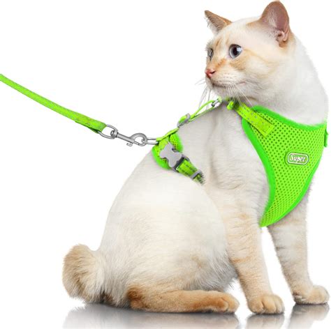 Pet Supplies : Supet Cat Harness and Leash for Walking Escape Proof ...