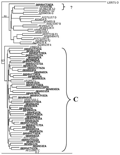 Genetic Analysis of HIV-1 Integrase Sequences from Treatment Naive ...